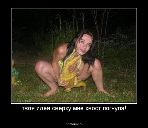 твоя идея сверху мне хвост погнула!