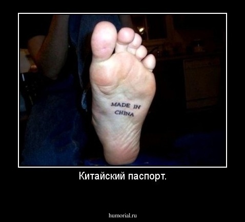 Китайский паспорт.
