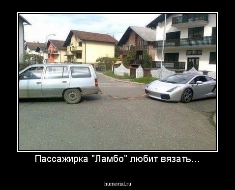 Пассажирка "Ламбо" любит вязать...
