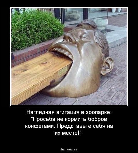Наглядная агитация в зоопарке: "Просьба не кормить бобров конфетами. Представьте себя на их месте!"