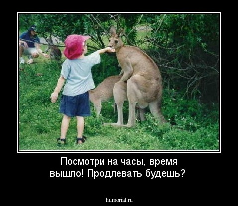 Посмотри на часы, время вышло! Продлевать будешь?