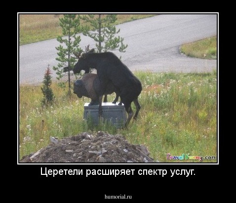 Церетели расширяет спектр услуг.