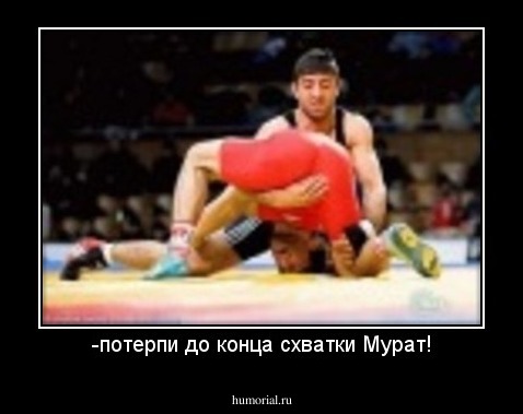 -потерпи до конца схватки Мурат!