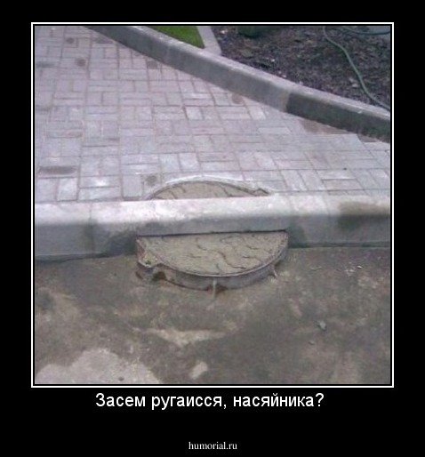 Засем ругаисся, насяйника? 