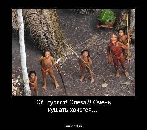 Эй, турист! Слезай! Очень кушать хочется...