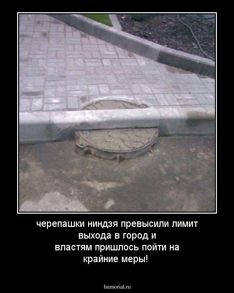 черепашки ниндзя превысили лимит выхода в город и властям пришлось пойти на крайние меры!