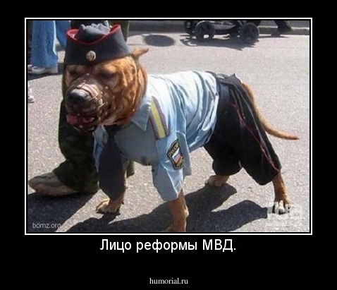 Лицо реформы МВД.