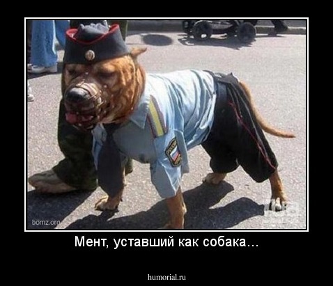 Мент, уставший как собака...