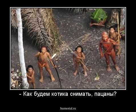 - Как будем котика снимать, пацаны?