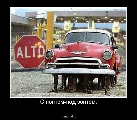 С понтом-под зонтом.