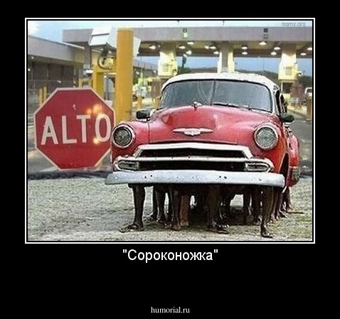 "Сороконожка"

