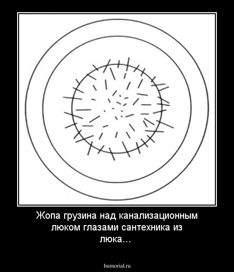 Жопа грузина над канализационным люком глазами сантехника из люка...