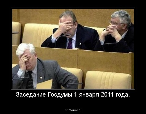 Заседание Госдумы 1 января 2011 года.