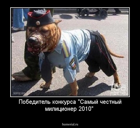 Победитель конкурса "Самый честный милиционер 2010"