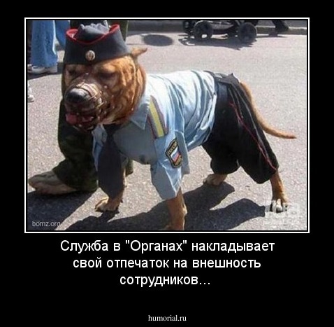 Служба в "Органах" накладывает свой отпечаток на внешность сотрудников...