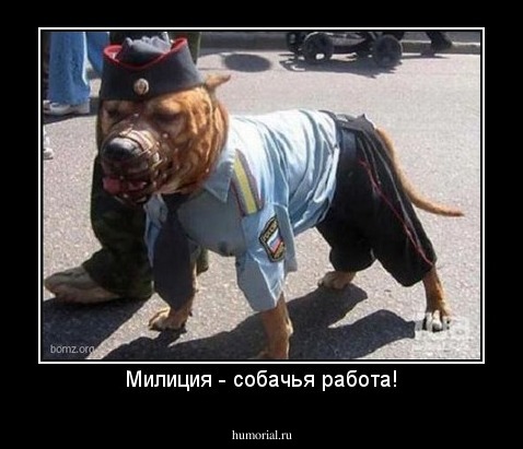 Милиция - собачья работа!