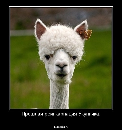 Прошлая реинкарнация Укупника.