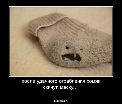после удачного ограбления хомяк скинул маску...
