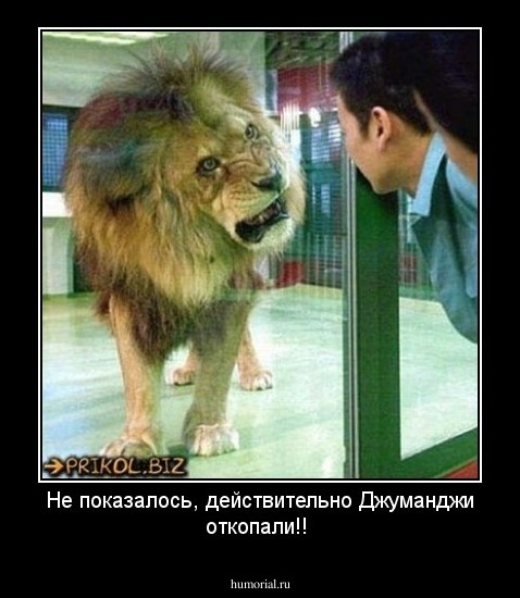 Не показалось, действительно Джуманджи откопали!!