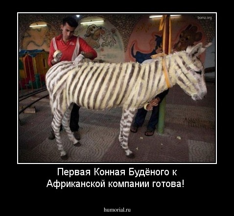 Первая Конная Будёного к Африканской компании готова!