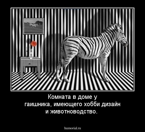 Комната в доме у гаишника, имеющего хобби дизайн и животноводство.