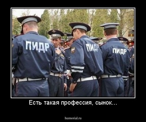 Есть такая профессия, сынок...