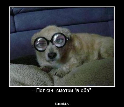 - Полкан, смотри "в оба"