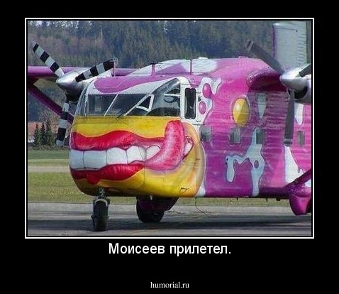 Моисеев прилетел.