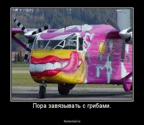 Пора завязывать с грибами.