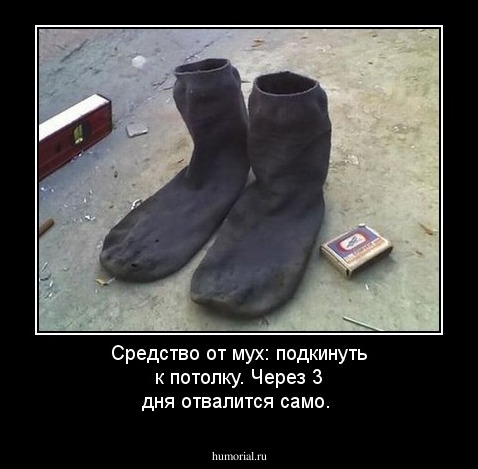 Средство от мух: подкинуть к потолку. Через 3 дня отвалится само.
