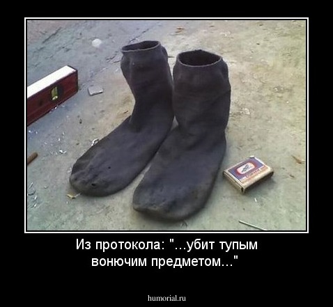 Из протокола: "...убит тупым вонючим предметом..."