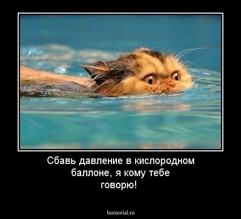 Сбавь давление в кислородном баллоне, я кому тебе говорю!