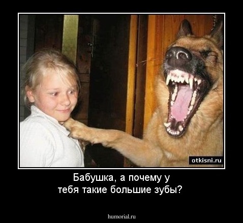 Бабушка, а почему у тебя такие большие зубы?