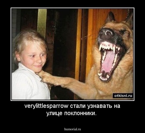 verylittlesparrow стали узнавать на улице поклонники.