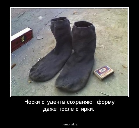 Носки студента сохраняют форму даже после стирки.