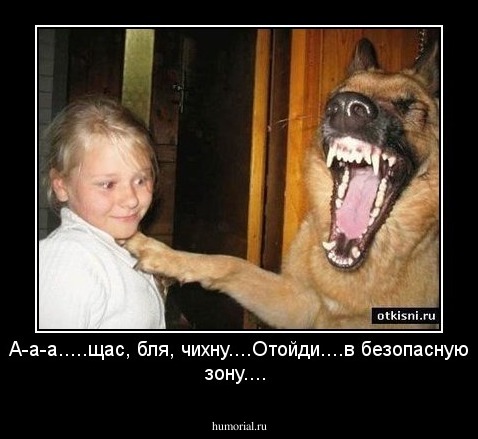 А-а-а.....щас, бля, чихну....Отойди....в безопасную зону....