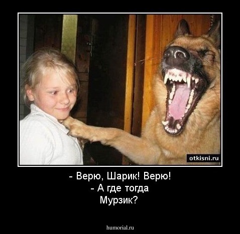 - Верю, Шарик! Верю!
- А где тогда Мурзик?