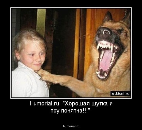Humorial.ru: "Хорошая шутка и псу понятна!!!"