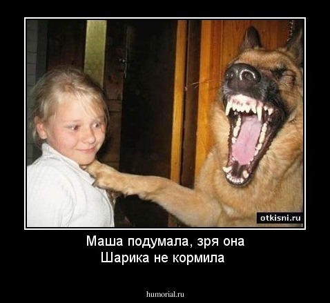 Маша подумала, зря она Шарика не кормила 