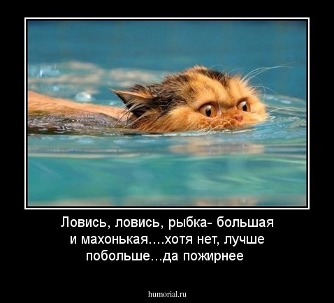 Ловись, ловись, рыбка- большая и махонькая....хотя нет, лучше побольше...да пожирнее