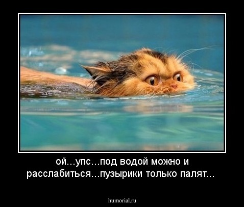 ой...упс...под водой можно и расслабиться...пузырики только палят...