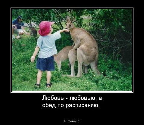Любовь - любовью, а обед по расписанию.