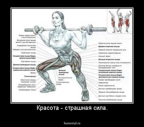 Красота - страшная сила.