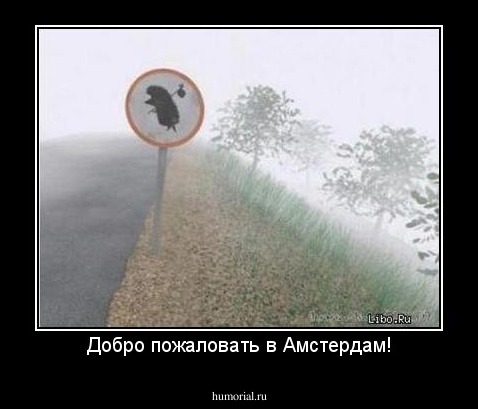 Добро пожаловать в Амстердам!