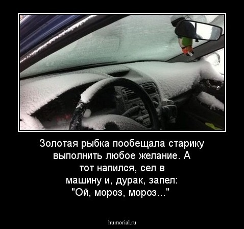 Золотая рыбка пообещала старику выполнить любое желание. А тот напился, сел в машину и, дурак, запел: "Ой, мороз, мороз..."  