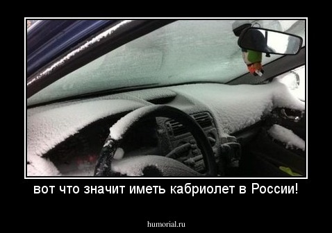 вот что значит иметь кабриолет в России!