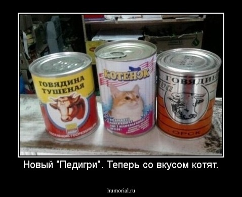 Новый "Педигри". Теперь со вкусом котят.