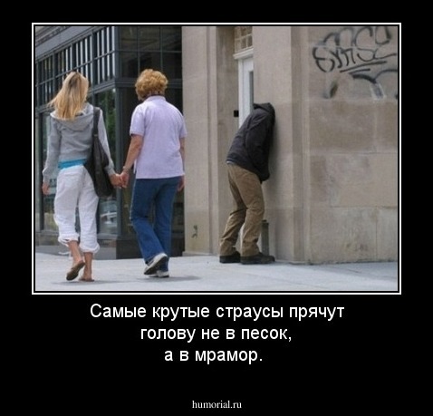 Самые крутые страусы прячут голову не в песок, а в мрамор.