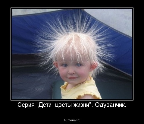 Серия "Дети  цветы жизни". Одуванчик.