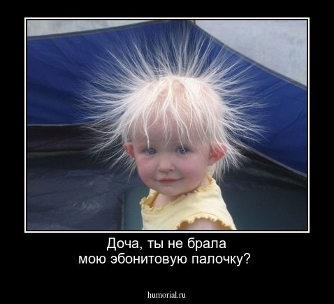 Доча, ты не брала мою эбонитовую палочку?